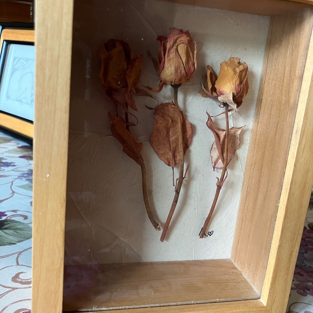 Natural Wood Shadow Box with Dried Roses signed by the artist - Picture 6 of 9